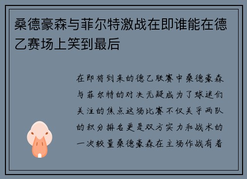 桑德豪森与菲尔特激战在即谁能在德乙赛场上笑到最后