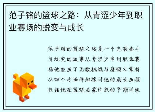 范子铭的篮球之路：从青涩少年到职业赛场的蜕变与成长